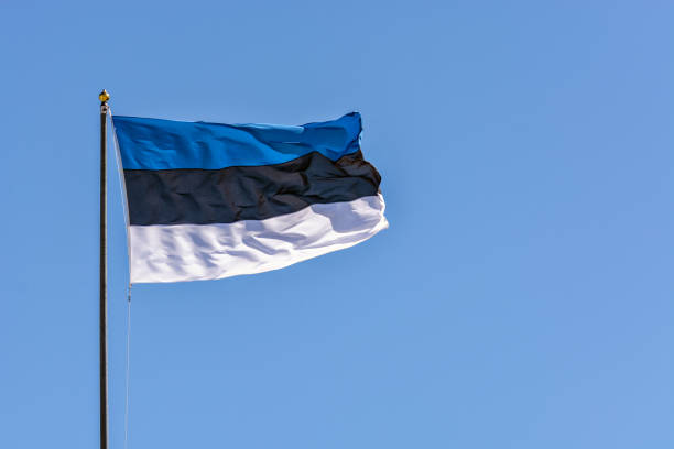 علم استونيا-الفيزا إلى استونيا