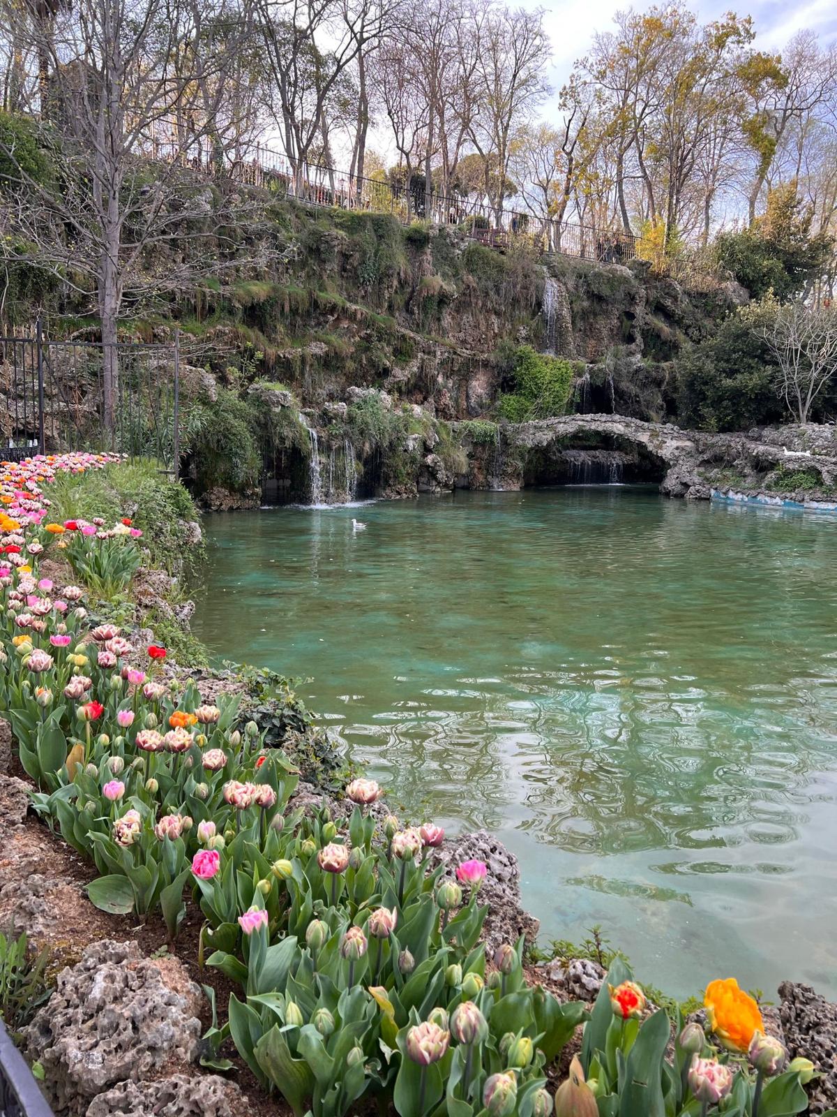 حديقة اميرجان